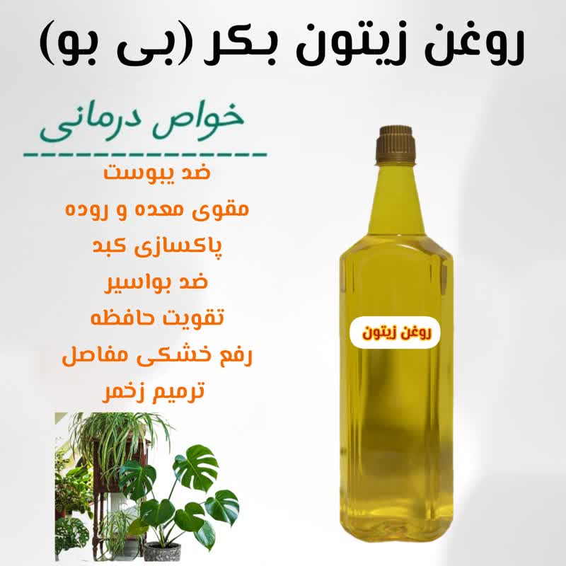 روغن زیتون بکر بدون بو یک لیتری